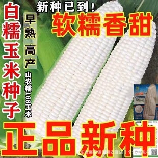 ɽ�rŴ168��Ŵ�����׷N�Ӹ߮a�ļ��������߲˷N�ӳ���Ŵ���׷N��