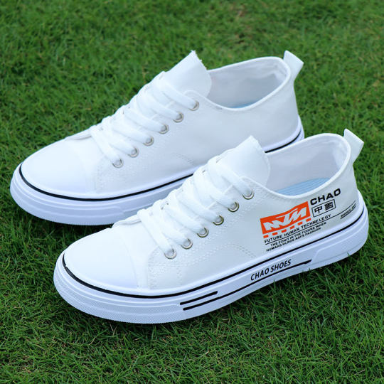 Canvas Shoes Men's Shoes 2025 New Breathable White Shoes Student Soft Sole Men's Casual Shoes Old Beijing Cloth Shoes Wear-Resistant