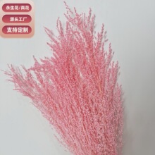 ���������뻨DIY���ĳ�Ʒ��޹Ϟ�T���z��ı��r����ϲ������l