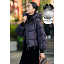 �̿���q��Ů2025�¿�90�����q�Bñ���ɼӺ�С�����������ů����