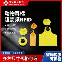 楚天RFID动物电子标签猪牛羊马耳标超高频低频射频标签畜牧管理