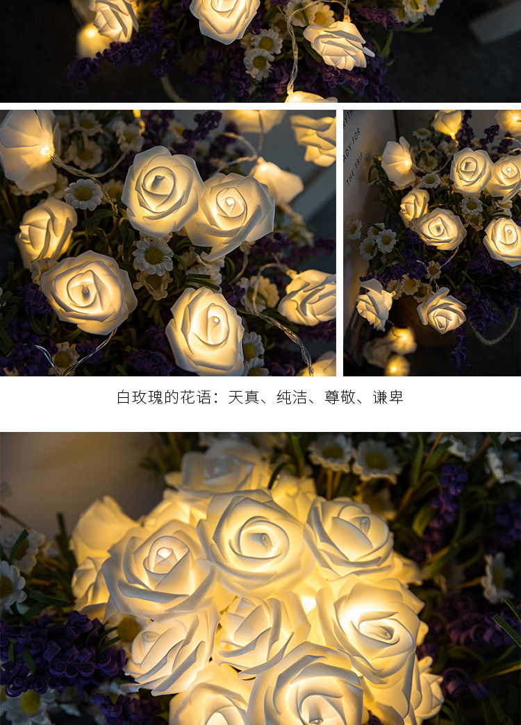 玫瑰灯串613_05.jpg
