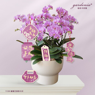 ��ɫ���κ����mС��ӡˢ����M�Mף�����������������b��