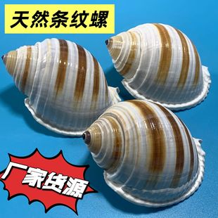 ��Ȼ����ؐ���l�y��ˮ�����~��ˮ��ľ�з��Q���辰���⃺ͯ���l