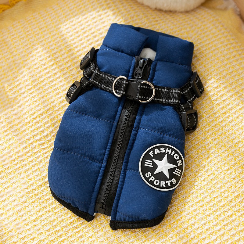 Otoño y invierno perros gruesos calentamiento negro de grafeno negro con sombrero de oro negro chaqueta de plumón gato algodón ropa de perro mascota