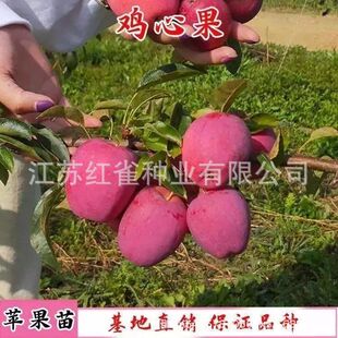 ��Ʒ�Nɳ���u�Ĺ�����������\������С�O����޽����Ϸ������Nֲ