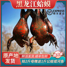 ���������ܖ|����ʿ����������ʯ���t���ܼt���Ӽt��ĸ���M��