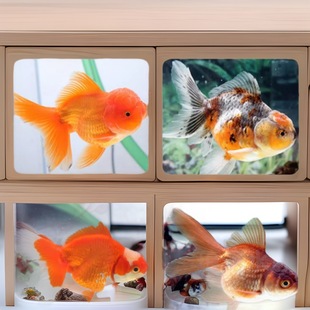 С���~���^�p�~��ˮ�ͻ���B�~��ˮ�t���\�����~С���~�ݽ��~���~