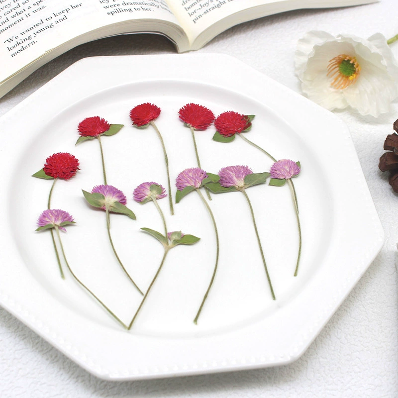 Тысяча дней красного сушеного цветка с тиснением капель закладки настоящих цветов образец растения настольная лампа фоторамка ручной работы