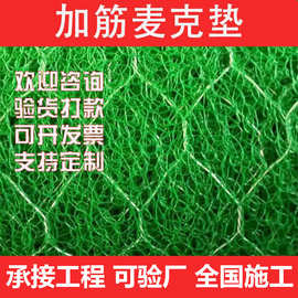 加筋固土生态绿化麦克垫厂家生产土工网垫护坡固土网三维植被网