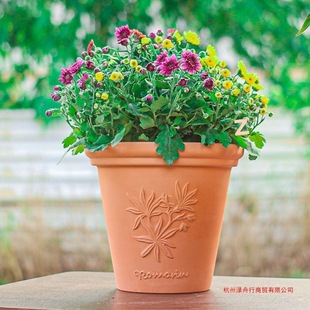 �t��͸�⻨���؟������A����ֱͲ���s�Ҿӻ���������t����