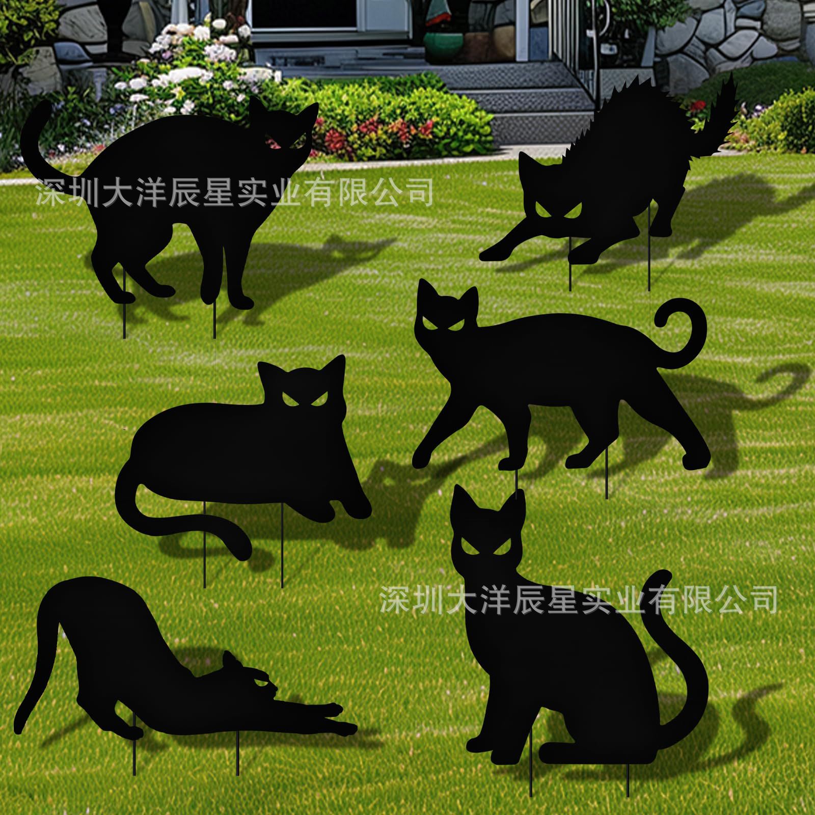 할로윈 검은 고양이 14