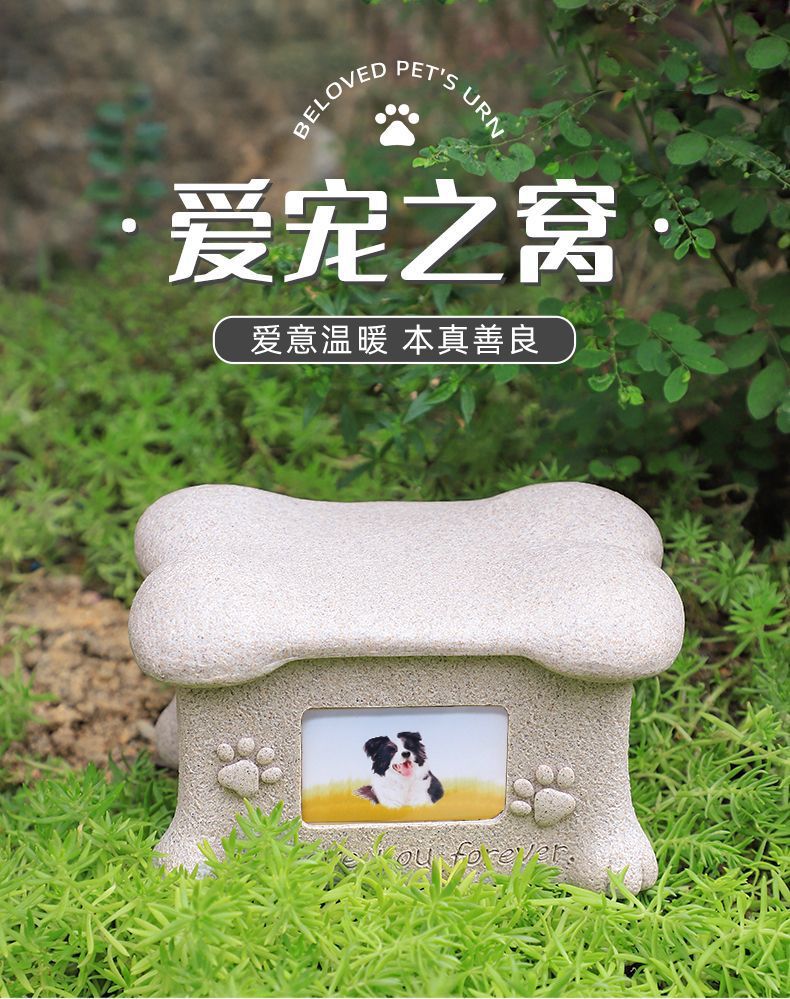 91eb95ce-cb2a-47eb-9413-77d0973b555b.jpe