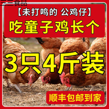 ˳�����������ɱɢ��δ����С����ͯ�Ӽ�����������ֻ���ߵؼ�