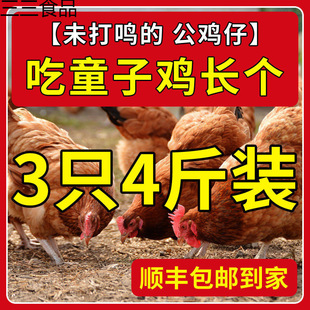 ��S���]���r�F��ɢ�Bδ�_��С���uͯ���u�S�����u��ֻ�u�ߵ��u