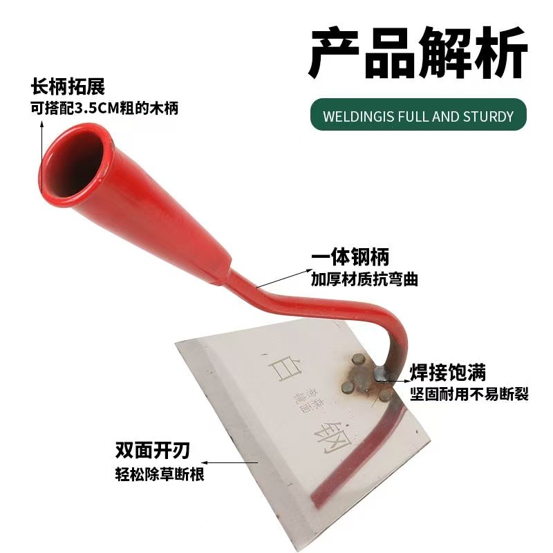 微信图片_202504091130112.jpg