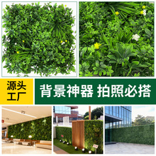 ���ڶ��Ʒ���ֲ��ǽ�ٻ�ǽ�������ϼ���ֲ����ǽ�̳�װ����Ҷ�쾰