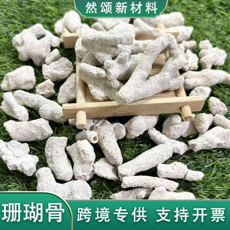 珊瑚骨鱼缸造景底砂用珊瑚骨水族过滤水质稳定 详情咨询