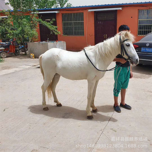 �����u�±����R�R�x�O���m���R���w �̘I��Ӱ��R���w���U