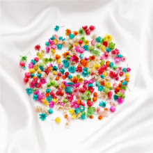 5mm~8mm袋装干花  天然小星星花头 手工diy团扇水晶滴胶装饰干花