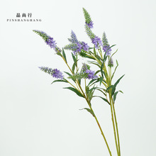 ޹�²�������β����������֧���滨�������c��֦�zӰ���߼Ҿ��b