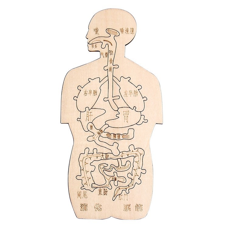 Fuente de fabricación de niños de la ciencia y la tecnología de los estudiantes de primaria pequeños experimentos pequeños inventos kits de materiales de ayuda didáctica