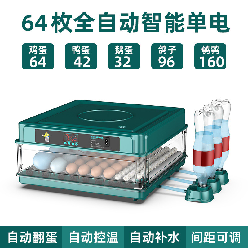 【Fábrica transfronteriza】Suministro adecuado, venta directa, incubadora de huevos de gallina doméstica pequeña totalmente automática, caja de incubación, incubadora. image 43