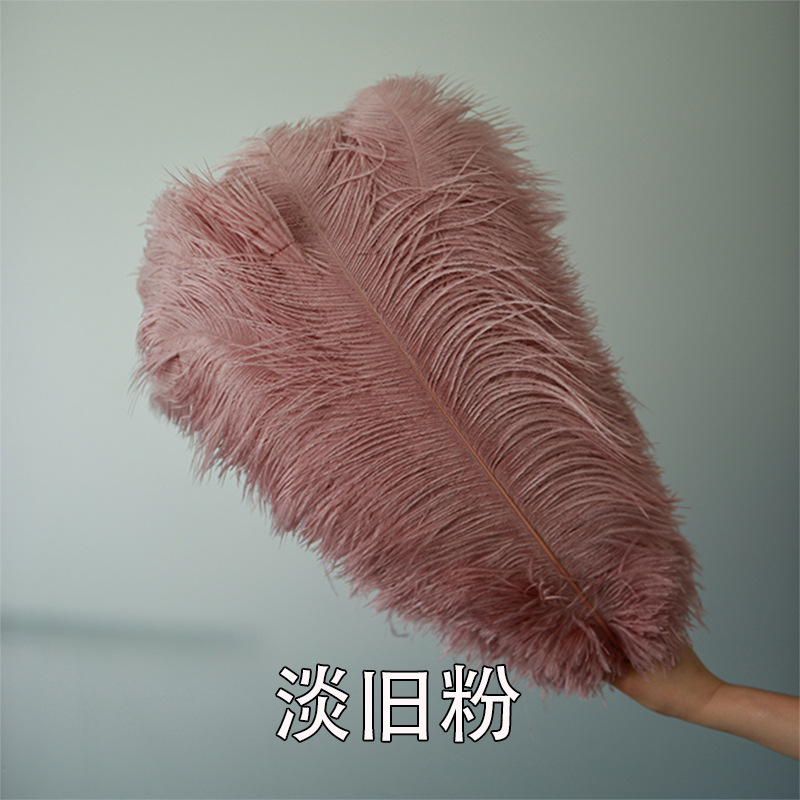 Fabricantes de pelaje de avestruz 50 - 55CM boda guía de la mesa flor de plumas de avestruz adornos de red pared roja plumas de espectáculo de escenario image 12