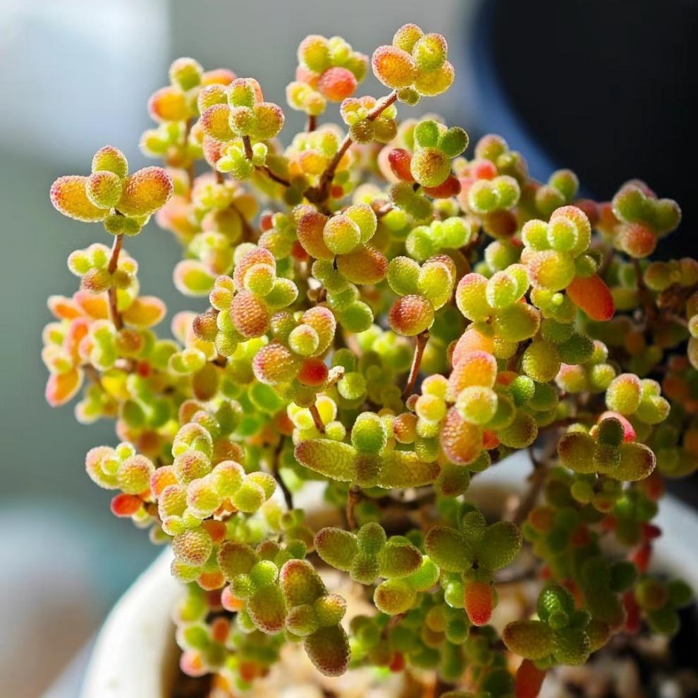 43751141-57cb-46c2-89d4-47819bdde706.jpe