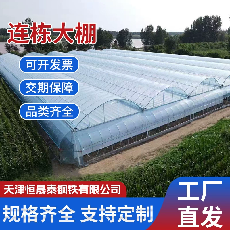 Теплица с солнечным светом