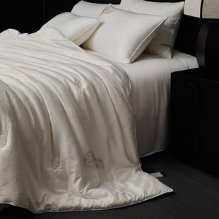 Class A Organic Silk Quilt Warm Fluffy Spring and Autumn Quilt Winter Quilt Skin-friendly Soft Waxy Silky Summer Quilt Four Seasons Available Quilt Core