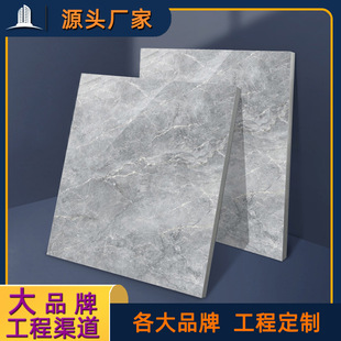 ����Դ 800x800һ���N�ƹ��̶��� ���̴ɴu�r �����ȫ