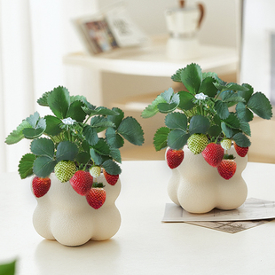 ��ݮ���Ԏ��������҃ȾGֲ�ļ����B�͏d�k��������ֲ���̨���ܻ�