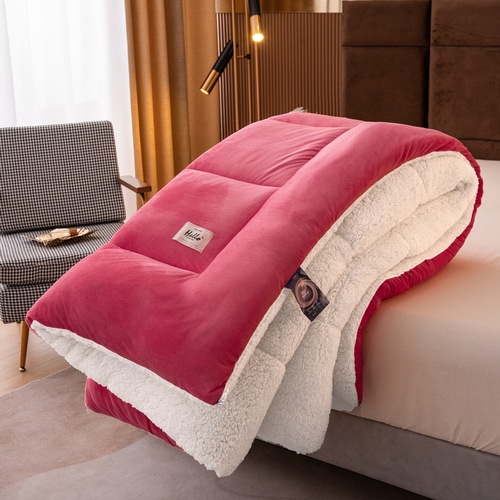 Wholesale Manufacturer's Double-Faced Plush Lamb Fleece Winter Blanket with Thick Core for Warmth, Spring and Autumn Season, Gift Blanket for Group Purchase