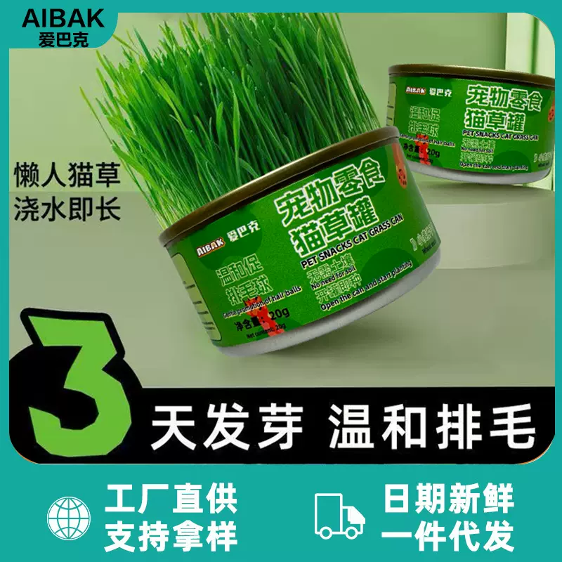 懒人泡面猫草小盆栽自种无土水培去毛球天然化毛磨牙洁齿猫咪零食