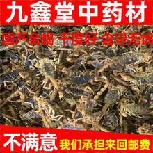 ȫϐ��50�˰��]���a�Bֳ��ϐ�Ӹ�؛ȫ�x������ˮȫϐ��؛��