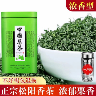 �G��2024���������ɽ��F�G����bë�ⴺ������͍�ɽ�²茍��