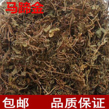 马蹄金 荷包草 黄胆草 小马蹄草 中药材