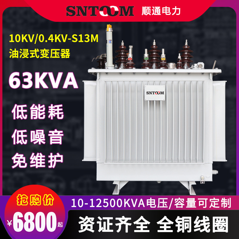 S13M大型工业油浸式电力配电变压器高压10KV250/315/400全铜63KVA