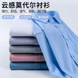 莫代尔弹力抗皱免烫男士长袖白衬衫高端舒适职业装日常通勤工作服