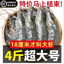 整箱四斤装青岛大虾基围虾速冻海虾海鲜水产新鲜青虾对虾鲜虾