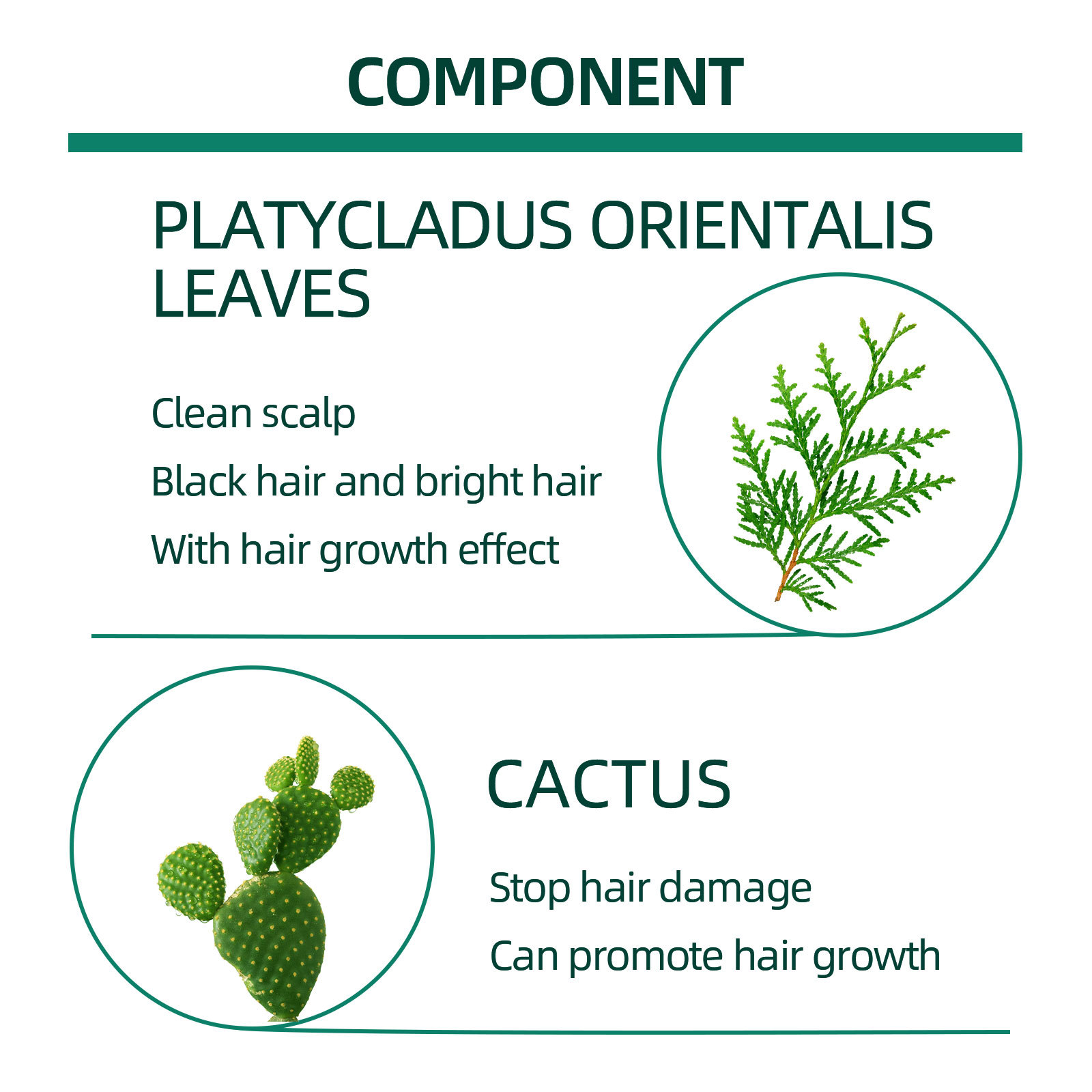 Herbal West&Month losjooni essents niisutab, et vältida tihedat juuste väljalangemist_voghion.com