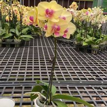 �����m���ռ��p�������Ԏ����������ļ����B