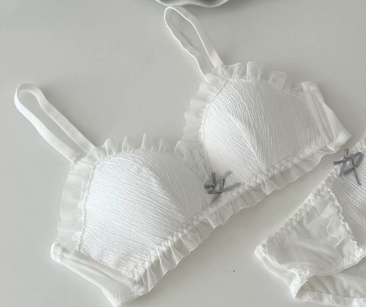 Venta directa de fábrica Comercio electrónico transfronterizo Sudeste de Asia Vietnam Tailandia Ladies French Triangle Cup Reunir Cómodo sujetador