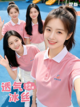 �ļ�POLO���������� ��ӡlogo��ɫ�׎��F����Ӱ������T���Ļ���