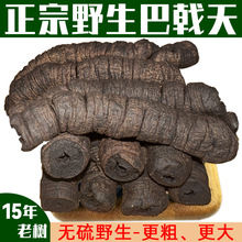 șҰ500g޽ɐظi˽zݾ