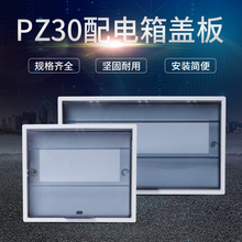 ɫӺPZ30wPZ30-6/8/10/12/15/18/20/24·