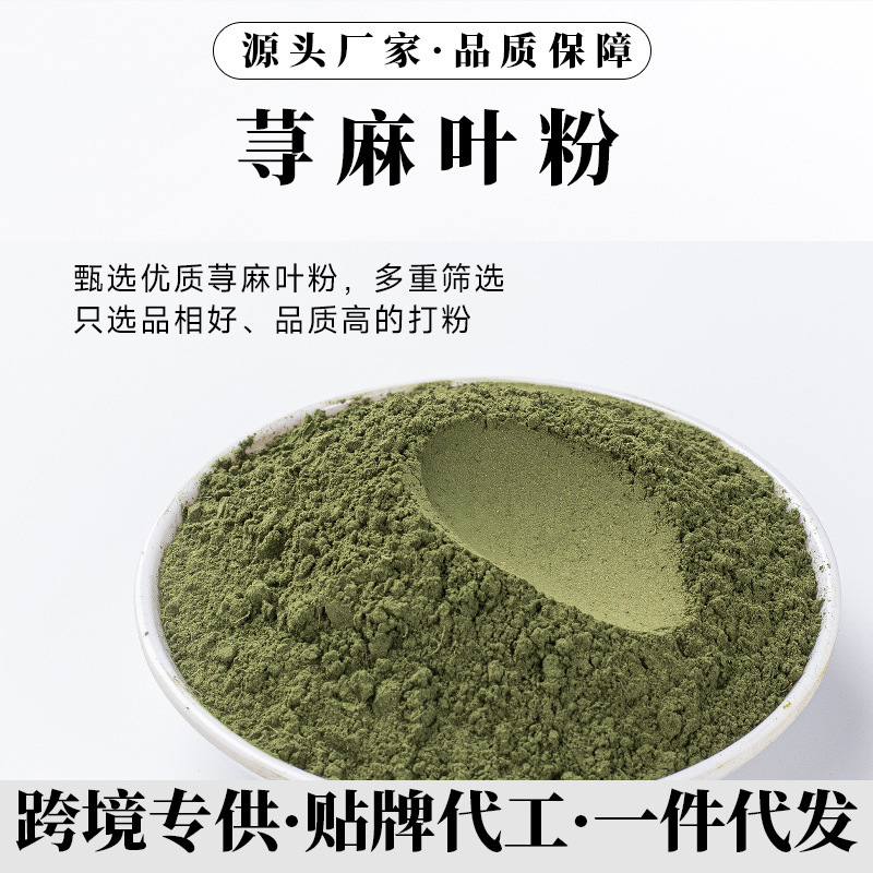 Nettle Leaf Powder Medicinal Materials Factory Wholesale Nettle Leaf 500g Crushed Nettle Herb Raw Material Chinese Herbal Medicine Scorpion Grass Nettle Leaf Powder Medicinal Materials Factory Wholesale Nettle Leaf 500g Crushed Nettle Herb Raw Material Chinese Herbal Medicine Scorpion Grass