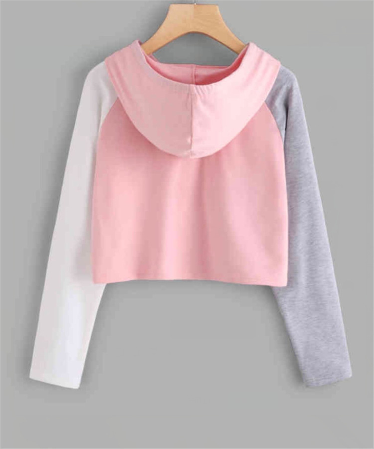 Women's Hoodie Long Sleeve Hoodies & Sweatshirts Casual Color Block display picture 4