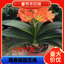 һ���������������Ծ�Ʒ��ֲ����ֲ������Բͷ�����ļ�����������
